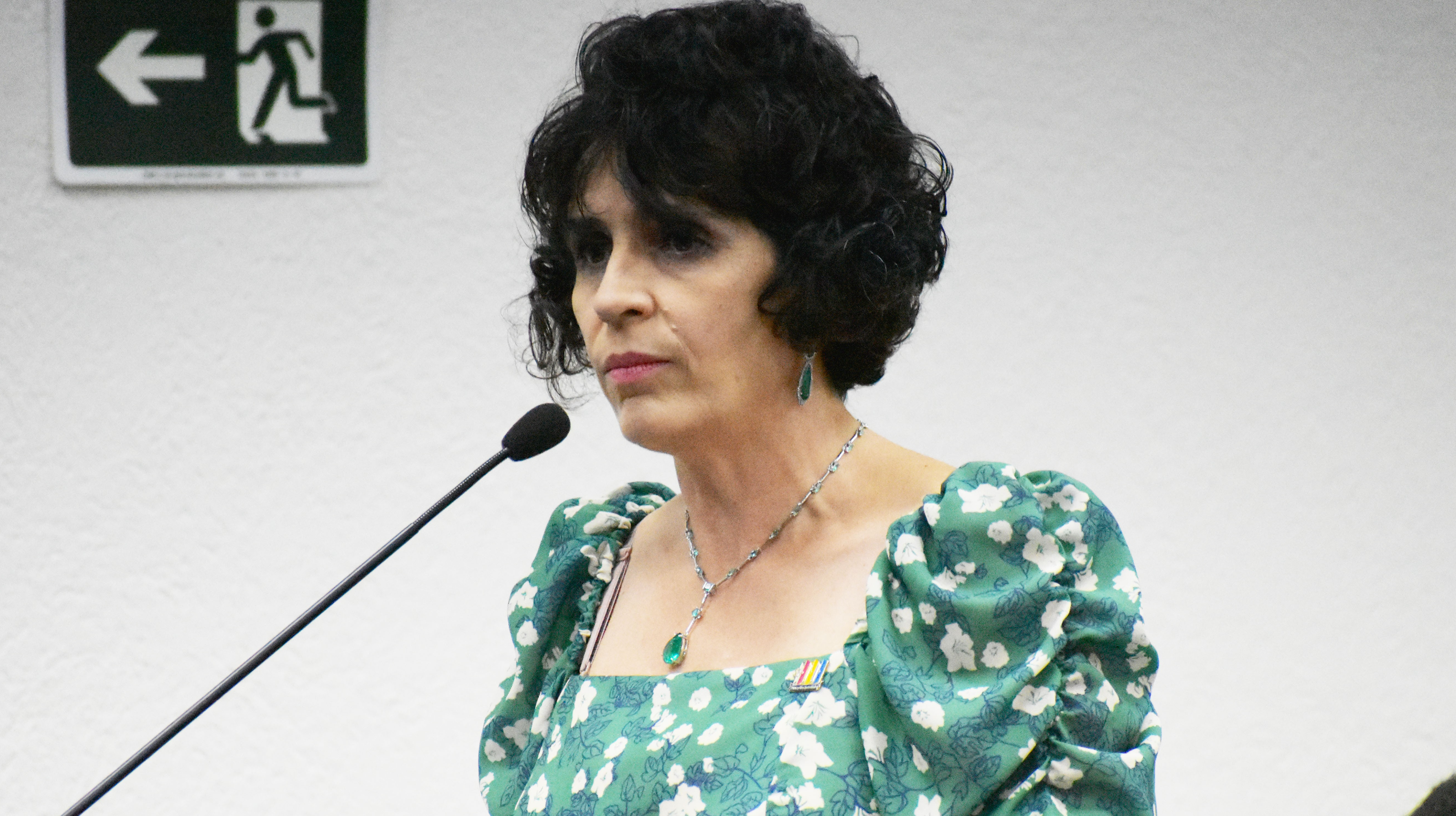 Imagem da notícia: Secretária Municipal e gerente regional do Sebrae fazem uso da tribuna livre em especial às mulheres 