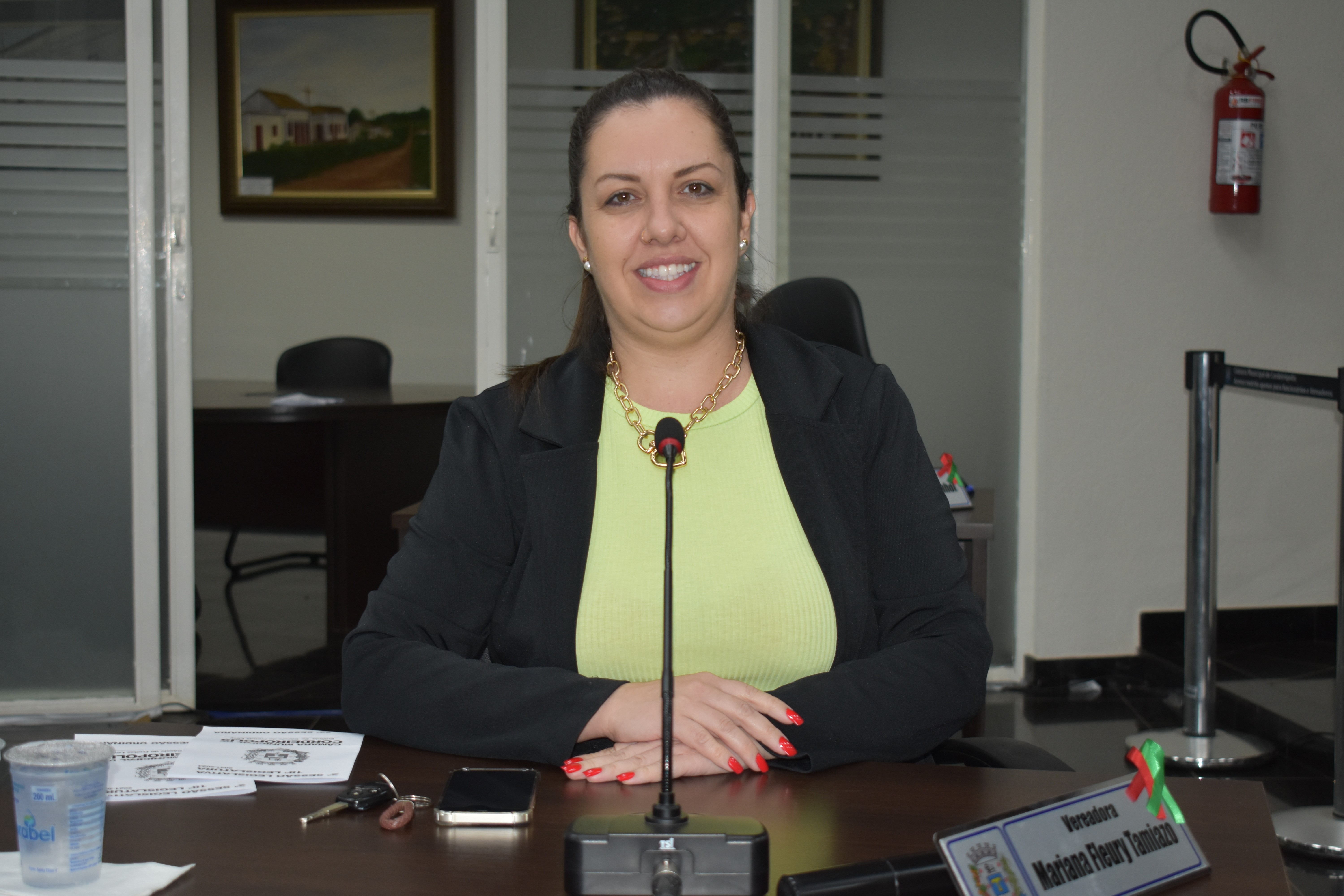 Imagem da notícia: Parlamentares aprovam requerimentos da vereadora Mariana