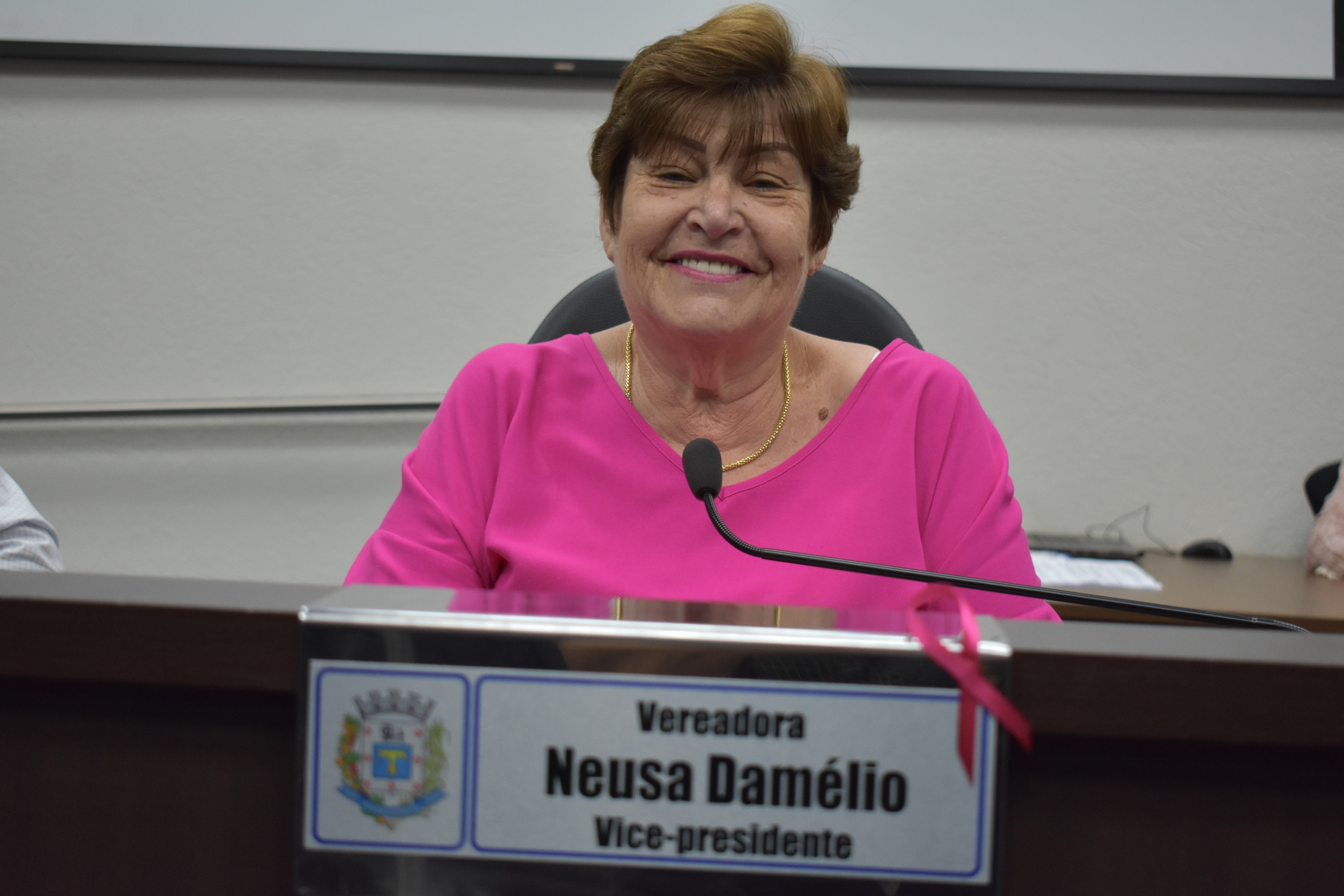 Imagem da notícia: Neusa requer informações sobre supressão de árvores da escola Levy