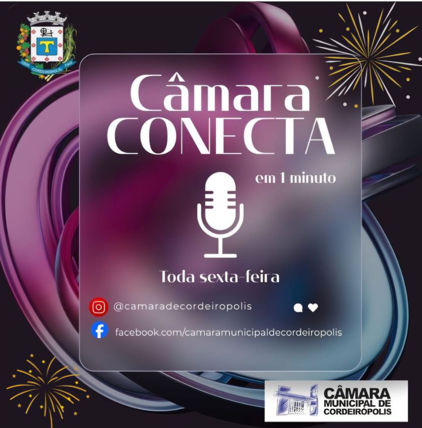 Imagem da notícia: 🌟 O último Câmara Conecta do ano está no ar em nossas redes sociais! 🌟